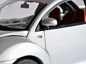 1:18 Auto Art Volkswagen Beetle RSI 2001 Silver Reflex. Uploaded by Ricardo